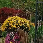 A Casa De Fiore 別荘 モンテグラナーロ