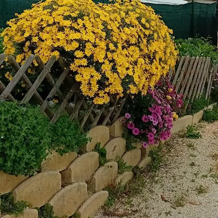 Semesterbostad A Casa De Fiore Montegranaro